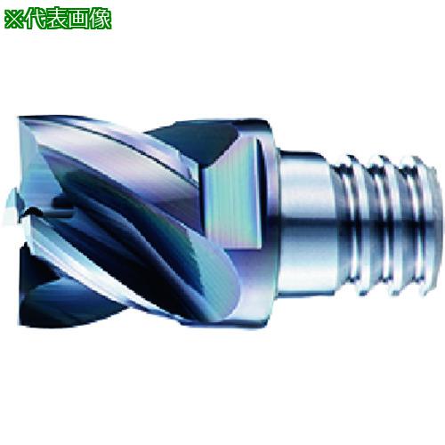 ■OSG PHOENIX ヘッド交換式エンドミル PXM スクエア・コーナラジアスタイプ 7830064〔品番:PXMPXSE160C1604R030O〕【2267552:0】[送料別途見積り][掲外取寄][店頭受取不可]