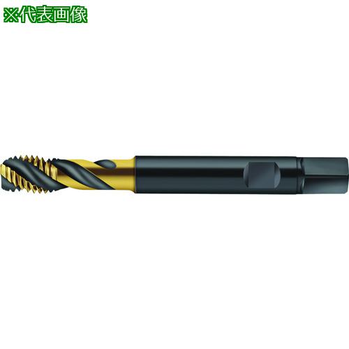 ■Prototyp マシンタップ〔品番:S2056315M14〕【2268776:0】[送料別途見積り][掲外取寄][店頭受取不可]｜ホームセンターバロー　店
