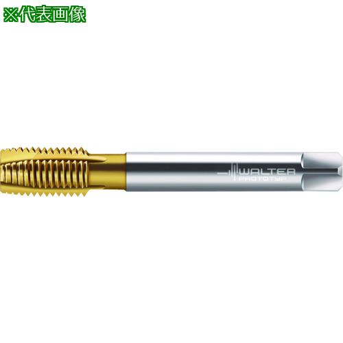 ■Prototyp マシンタップ〔品番:P2236005UNC12〕【2268780:0】[送料別途見積り][掲外取寄][店頭受取不可]｜ホームセンターバロー　店