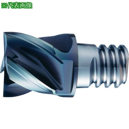 ■OSG PHOENIX ヘッド交換式エンドミル PXM スクエア・コーナラジアスタイプ 7830006〔品番:PXMPXSE120C1204R010〕【2269114:0】[送料別途見積り][掲外取寄][店頭受取不可]