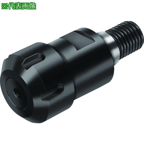 ■Walter アダプター〔品番:AK300.T36.055.16〕【2270195:0】[送料別途見積り][掲外取寄][店頭受取不可]｜ホームセンターバロー　店