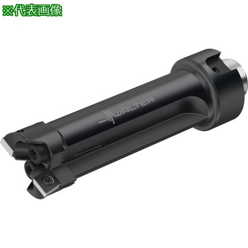 ■Walter 2枚刃ボーリング工具〔品番:B3221.N2.020024.Z2.CC06〕【2270263:0】[送料別途見積り][掲外取寄][店頭受取不可]｜ホームセンターバロー　店
