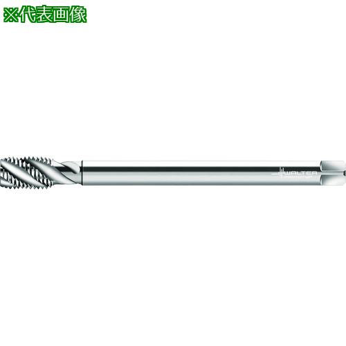 ■Prototyp マシンタップ〔品番:P2056935M16〕【2271956:0】[送料別途見積り][掲外取寄][店頭受取不可]｜ホームセンターバロー　店