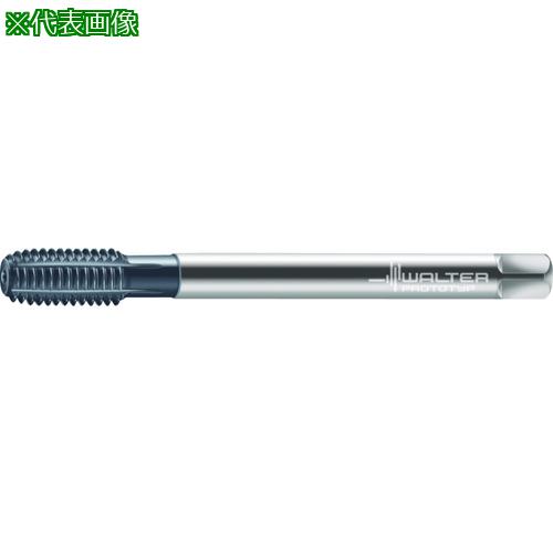 ■Prototyp 転造タップ〔品番:D7066706M14〕【2273349:0】[送料別途見積り][掲外取寄][店頭受取不可]