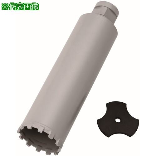 ■Hakken 乾式コアビット H2 Cロッド φ20&times;200L〔品番:HDDH2C20200〕【2275744:0】[送料別途見積り][法人・事業所限定][外直送][店頭受取不可]｜ホームセンターバロー　店