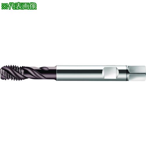 ■Prototyp マシンタップ〔品番:S2056312M16〕【2276696:0】[送料別途見積り][掲外取寄][店頭受取不可]｜ホームセンターバロー　店 13,471円