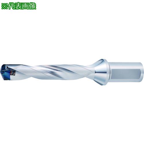 ■OSG PHOENIX ヘッド交換式ドリル PXD 7831069〔品番:PXDZ1705D162.520〕【2280023:0】[送料別途見積り][掲外取寄][店頭受取不可]｜ホームセンターバロー　店