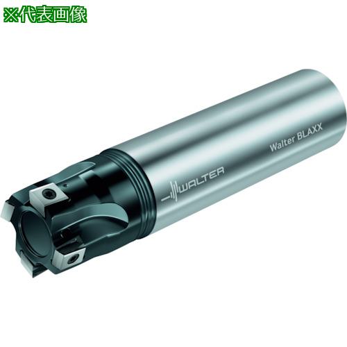 ■Walter 肩削りカッター〔品番:F5041.Z25.025.Z03.08〕【2283021:0】[送料別途見積り][掲外取寄][店頭受取不可]｜ホームセンターバロー　店