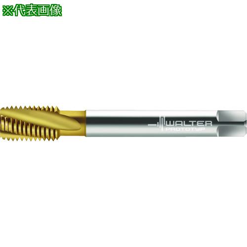 ■Prototyp マシンタップ〔品番:2146005M24X1.5〕【2284101:0】[送料別途見積り][掲外取寄][店頭受取不可]