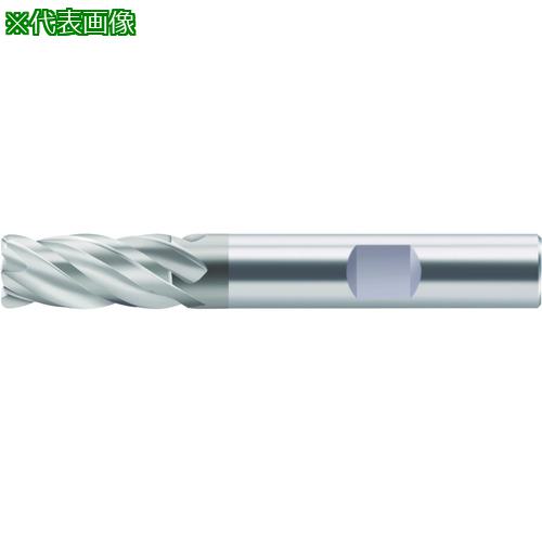 ■Prototyp Protomax Inox エンドミル〔品番:H213421716〕【2286170:0】[送料別途見積り][掲外取寄][店頭受取不可]｜ホームセンターバロー　店