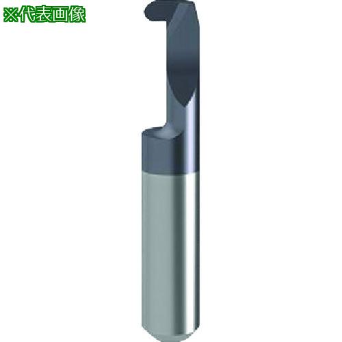 ■GUHRING 溝入れ工具 インサート 内径フルR溝入れ加工用 nanoAコート GE106.0150.075.17.60.L〔品番:257596.009〕【2324467:0】[送料別途見積り][法人・事業所限定][掲外取寄][店頭受取不可]
