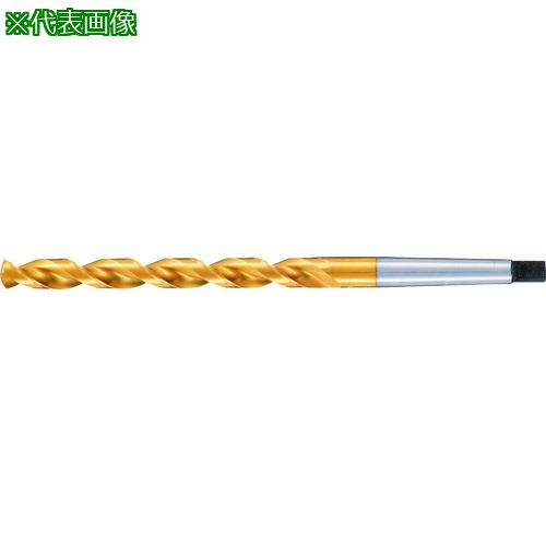 ■GUHRING 深穴加工ドリル セミロング TiNコート 16mm〔品番:65616.000〕【2325883:0】[送料別途見積り][掲外取寄][店頭受取不可]｜ホームセンターバロー　店