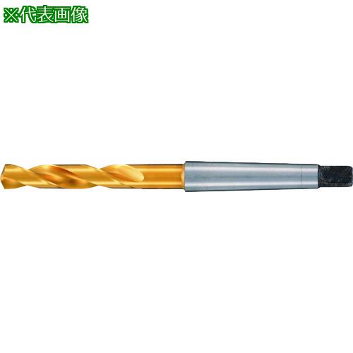 ■GUHRING ハイスドリル ショート/スタブ TiNコート 31mm〔品番:66331.000〕【2325991:0】[送料別途見積り][法人・事業所限定][掲外取寄][店頭受取不可]｜ホームセンターバロー　店