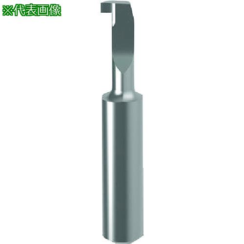 ■GUHRING 溝入れ工具 インサート 内径溝入れ加工用 GE108.0300.000.42.70.L〔品番:271278.340〕【2326049:0】[送料別途見積り][法人・事業所限定][掲外取寄][店頭受取不可]