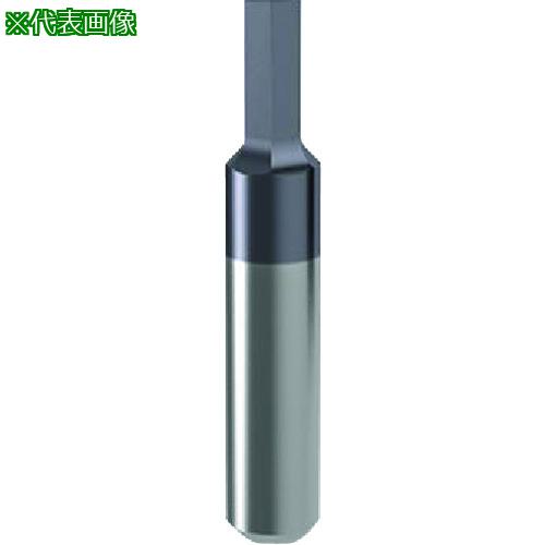 ■GUHRING 溝入れ工具 インサート 内径6角穴ブローチ加工用 nanoAコート GN106.SW40.010.06.40.N〔品番:258976.001〕【2327625:0】[送料別途見積り][法人・事業所限定][掲外取寄][店頭受取不可]