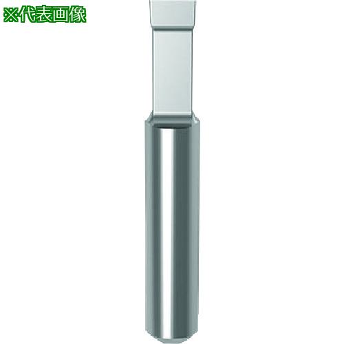 ■GUHRING 溝入れ工具 インサート 内径 縦溝ブローチ 加工用 GN106.0200.010.12.06.N〔品番:258196.001〕【2327648:0】[送料別途見積り][法人・事業所限定][掲外取寄][店頭受取不可]