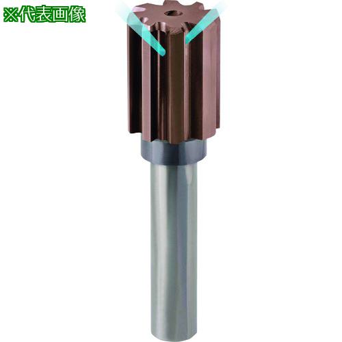 ■GUHRING 高速加工用リーマ レギュラnanoAコート 20mm〔品番:154920.000〕【2328037:0】[送料別途見積り][法人・事業所限定][掲外取寄][店頭受取不可]
