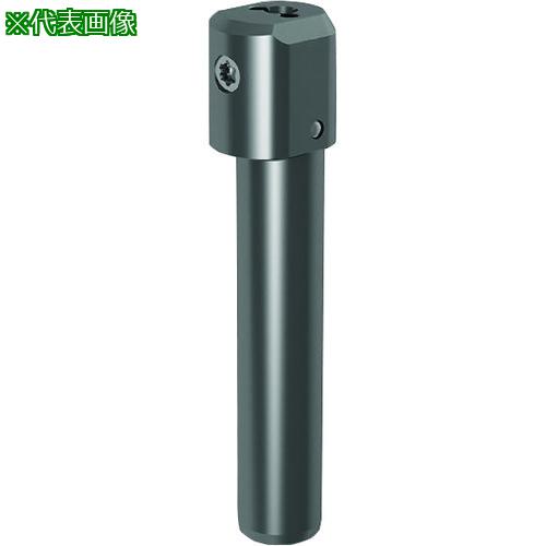■GUHRING 溝入れ工具 丸シャンクホルダ・上部クランプねじ 平取り無し レギュラ- GB104.0010.075.00.15.N.IK.RND〔品番:250174.010〕【2330669:0】[送料別途見積り][法人・事業所限定][掲外取寄][店頭受取不可]