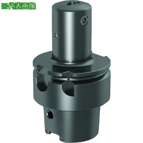 ■GUHRING 溝入れ工具 HSK-T ホルダ・ISO 12164-3 ストレート 0° レギュラ- GH104.HS63.056.00.15.N.IK〔品番:250164.002〕【2333873:0】[送料別途見積り][法人・事業所限定][掲外取寄][店頭受取不可]