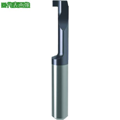 ■GUHRING 溝入れ工具 インサート 内径溝入れ加工用 nanoAコート GE104.0050.000.12.20.L〔品番:251274.008〕【2337055:0】[送料別途見積り][法人・事業所限定][掲外取寄][店頭受取不可]