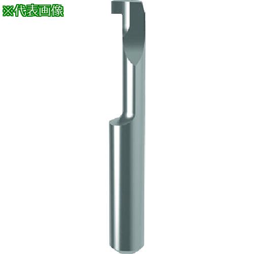 ■GUHRING 溝入れ工具 インサート 内径溝入れ加工用 GE104.0050.000.12.20.L〔品番:251314.008〕【2338600:0】[送料別途見積り][法人・事業所限定][掲外取寄][店頭受取不可]