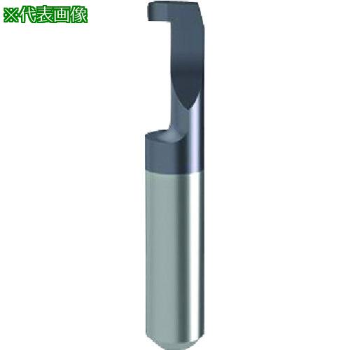■GUHRING 溝入れ工具 インサート 内径溝入れ加工用 nanoAコート GE106.0150.000.17.60.L〔品番:257516.009〕【2340117:0】[送料別途見積り][法人・事業所限定][掲外取寄][店頭受取不可]