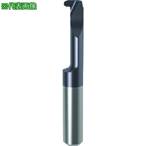 ■GUHRING 溝入れ工具 インサート 内径フルR溝入れ加工用 nanoAコート GE104.0100.050.22.40.L〔品番:251354.007〕【2340199:0】[送料別途見積り][法人・事業所限定][掲外取寄][店頭受取不可]