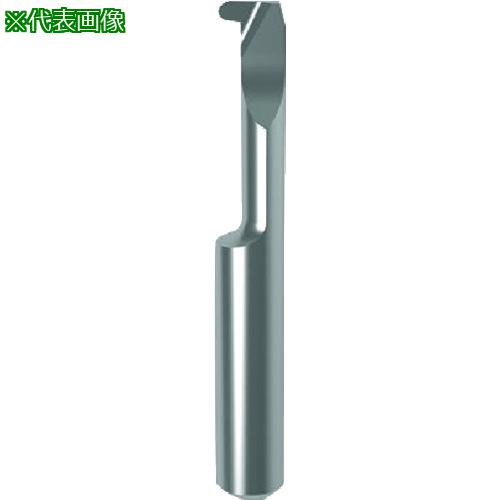 ■GUHRING 溝入れ工具 インサート 内径フルR溝入れ加工用 GE104.0100.050.22.40.R〔品番:251384.007〕【2342733:0】[送料別途見積り][法人・事業所限定][掲外取寄][店頭受取不可]