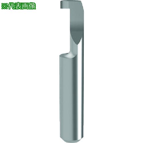 ■GUHRING 溝入れ工具 インサート 内径溝入れ加工用 GE106.0200.000.32.60.L〔品番:257556.019〕【2343854:0】[送料別途見積り][法人・事業所限定][掲外取寄][店頭受取不可]