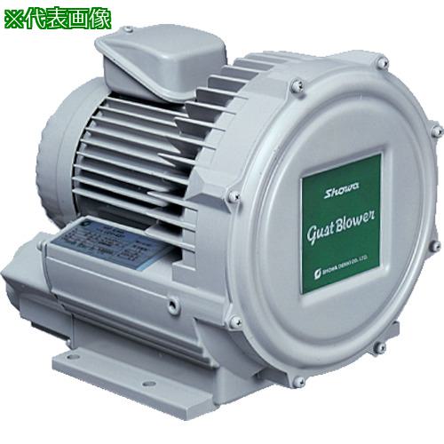 ■昭和 電動送風機 渦流式高圧シリーズ ガストブロアシリーズ(0.3kW)〔品番:U2V30T〕【2387395:0】[送料別途見積り][法人・事業所限定][直送][店頭受取不可]｜ホームセンターバロー　店