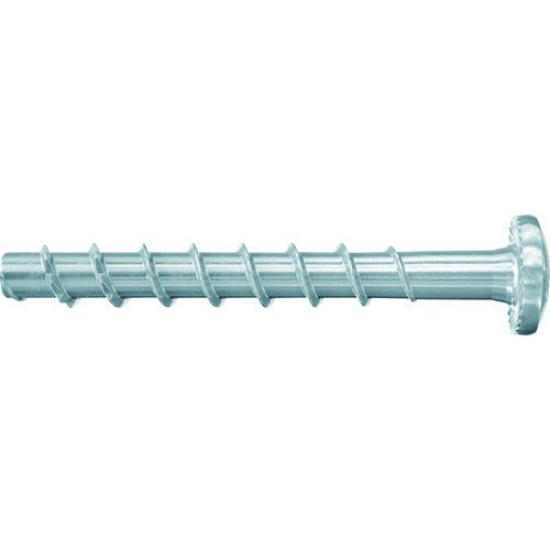 ■フィッシャー FBS 2 6×40/5 P《4箱入》〔品番:546378〕【2397504×4:0】[送料別途見積り][法人・事業所限定][掲外取寄][店頭受取不可] 31,818円