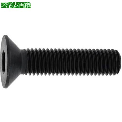 ■SUNCO SUS サラCAP(日星(全ネジ 14×60 (25本入)〔品番:A002201C0140060000〕【2408934:0】[送料別途見積り][掲外取寄][店頭受取不可]