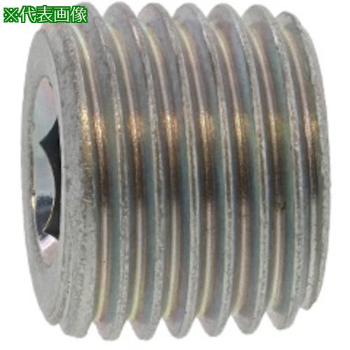 ■SUNCO SUS阪村プラグ(沈み R1/4-19 (250本入)〔品番:A00256108020000000〕【2409134:0】[送料別途見積り][掲外取寄][店頭受取不可]