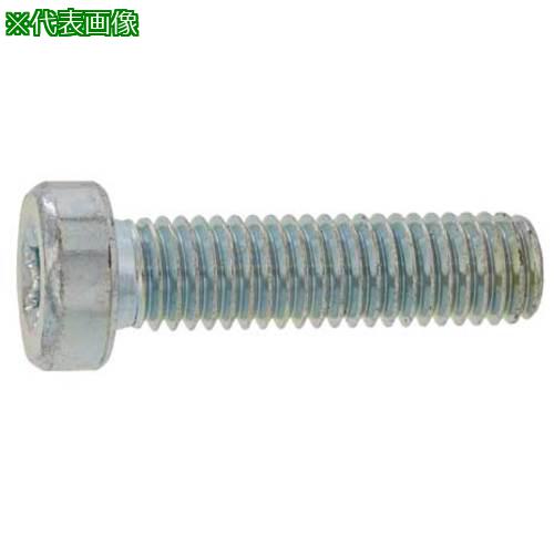 ■SUNCO ステンレス TRXローヘッドCAP 4&times;15 (500本入)〔品番:A002LT000040015000〕【2409703:0】[送料別途見積り][掲外取寄][店頭受取不可]｜ホームセンターバロー　店
