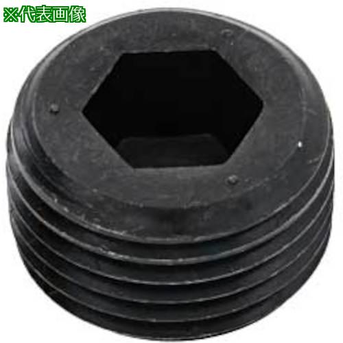■SUNCO ジオメット GOSHOプラグ(沈み NPTF GDL 1/16 (1000本入)〔品番:A00058408005000055〕【2410325:0】[送料別途見積り][掲外取寄][店頭受取不可]｜ホームセンターバロー　店