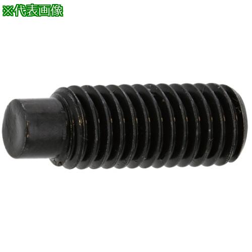 ■SUNCO ステンHS(棒先 12×30 (100本入)〔品番:A00250300120030000〕【2410811:0】[送料別途見積り][掲外取寄][店頭受取不可]