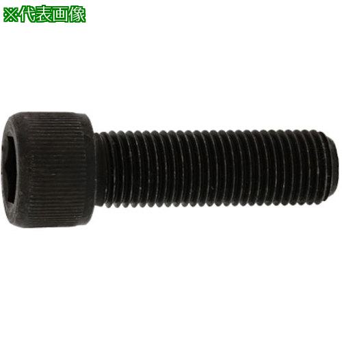 ■SUNCO ステンCAP(UNF1/2-20X2”(10本入)〔品番:A00200408040820000〕【2410983:0】[送料別途見積り][掲外取寄][店頭受取不可]