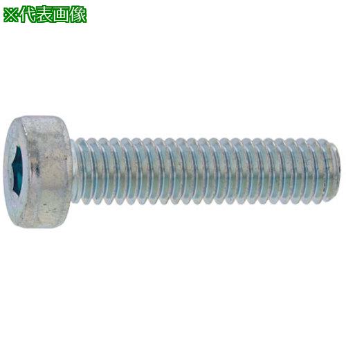 ■SUNCO BK SUSローヘッドCAP 3&times;10 (500本入)〔品番:A002L0000030010008〕【2411411:0】[送料別途見積り][掲外取寄][店頭受取不可]｜ホームセンターバロー　店