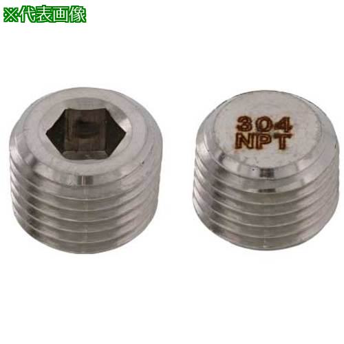■SUNCO SUS316Lプラグ 沈み NPT 1/8 (100本入)〔品番:A01256408010000000〕【2411472:0】[送料別途見積り][掲外取寄][店頭受取不可]｜ホームセンターバロー　店