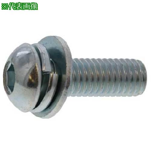 ■SUNCO クロメ-ト WAボタン-SPタイプ 8 X 25 (200本入)〔品番:A00087300080025002〕【2413468:0】[送料別途見積り][掲外取寄][店頭受取不可]｜ホームセンターバロー　店