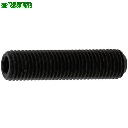■SUNCO HSヒラサキ 細目P1.25 12×45 (100本入)〔品番:A00050140120045000〕【2415843:0】[送料別途見積り][掲外取寄][店頭受取不可]
