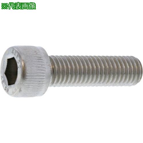 ■SUNCO A2-80 プレミアステンCAP 8&times;25 (100本入)〔品番:A002P0000080025000〕【2416088:0】[送料別途見積り][掲外取寄][店頭受取不可]｜ホームセンターバロー　店