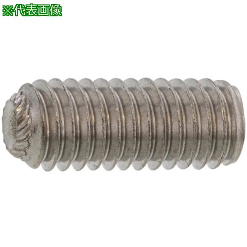 ■SUNCO ステンHS(ギザサキ 6×6 (1000本入)〔品番:A00250500060006000〕【2417076:0】[送料別途見積り][掲外取寄][店頭受取不可]