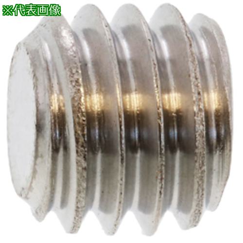 ■SUNCO ステンHS(富士セイラ 平先 6&times;4 (1000本入)〔品番:A002501D0060004000〕【2417161:0】[送料別途見積り][掲外取寄][店頭受取不可]｜ホームセンターバロー　店