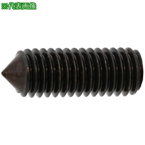 ■SUNCO ステンHS(トガリ先 6×40 (200本入)〔品番:A00250200060040000〕【2418726:0】[送料別途見積り][掲外取寄][店頭受取不可]