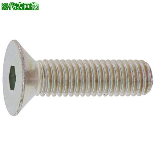 ■SUNCO スズコバルト サラCAP(アンスコ 3&times;6 (1000本入)〔品番:A000200A0030006020〕【2418854:0】[送料別途見積り][掲外取寄][店頭受取不可]｜ホームセンターバロー　店