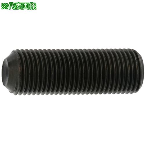 ■SUNCO ステンレスHSクボミ先 細目 P1.0 10&times;15 (500本入)〔品番:A00250060100015000〕【2421737:0】[送料別途見積り][掲外取寄][店頭受取不可]｜ホームセンターバロー　店