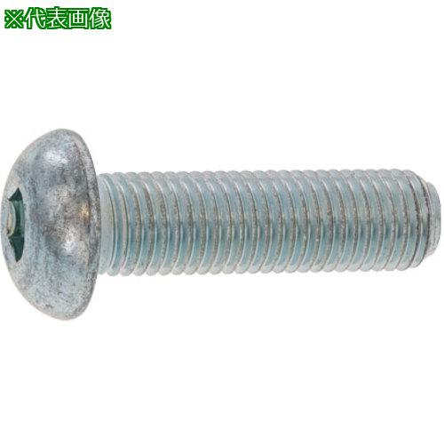 ■SUNCO SUSボタンCAP 細目P1.25 10&times;35 (100本入)〔品番:A00210040100035000〕【2423270:0】[送料別途見積り][掲外取寄][店頭受取不可]｜ホームセンターバロー　店