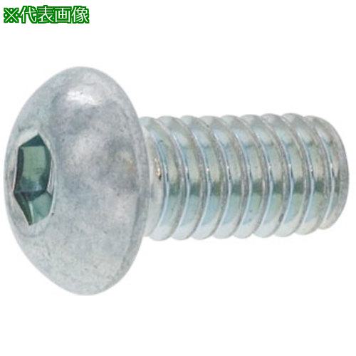 ■SUNCO BK SUSボタンCAP 6×18 (500本入)〔品番:A00210000060018008〕【2423280:0】[送料別途見積り][掲外取寄][店頭受取不可]