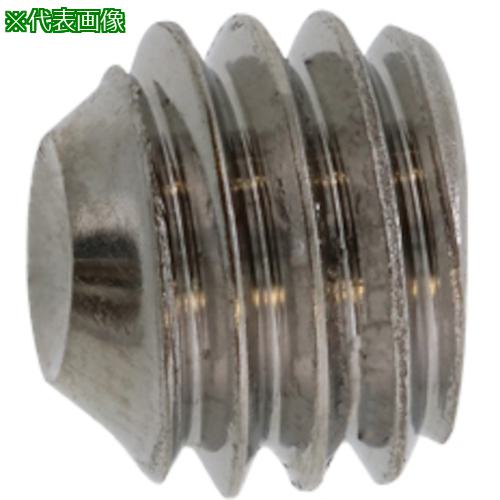■SUNCO ステンHS(富士セイラ くぼみ先 2×2 (2000本入)〔品番:A002500D0020002000〕【2423342:0】[送料別途見積り][掲外取寄][店頭受取不可]